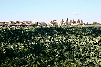 Anteprima - Clicca per ingrandire